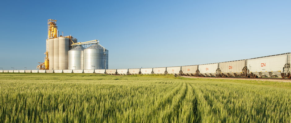 Labības produktu pārdošana